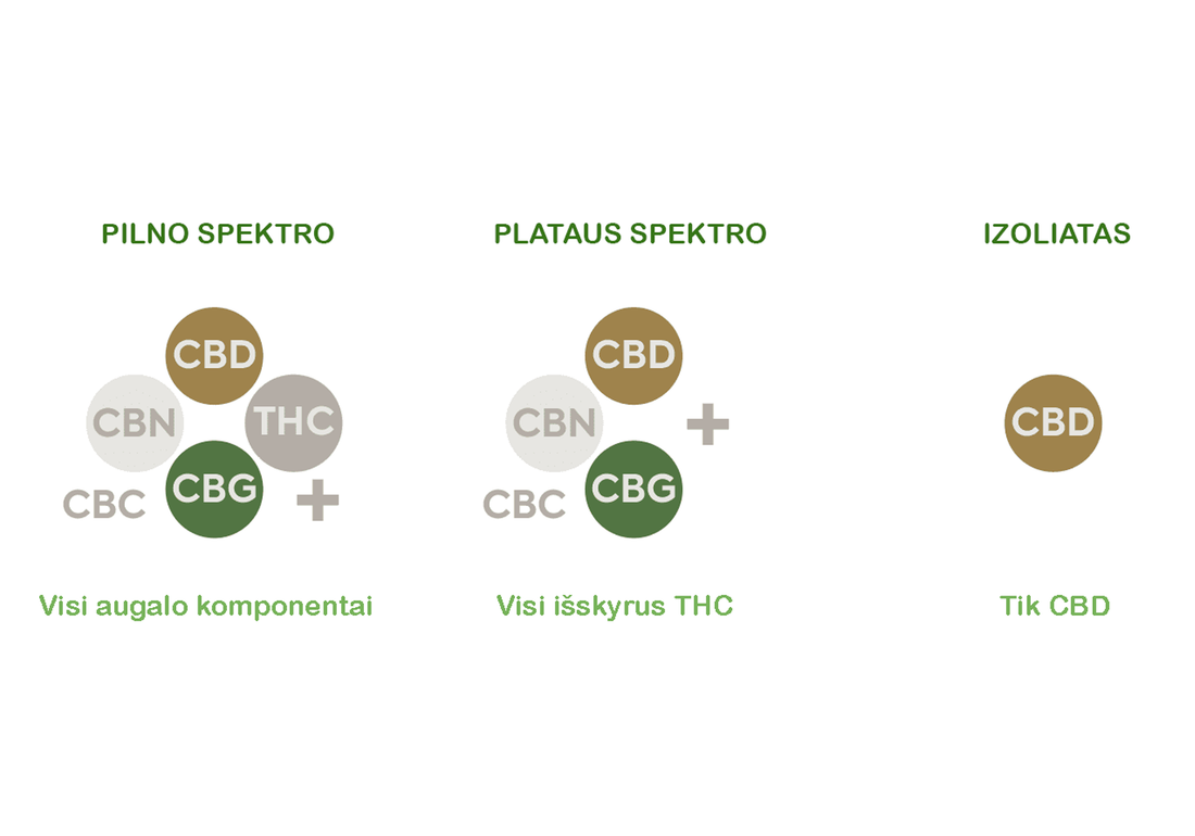 Skirtumai tarp pilno spektro CBD aliejaus, plataus spektro CBD aliejaus ir CBD izoliato.